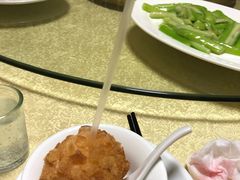-丁老爷子苏香圆
