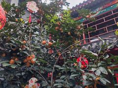 -府学·秋果S酒店(北京南锣鼓巷四合院店)