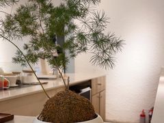 -Cafe on warm(丹霞店)