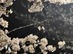 -鸡鸣寺