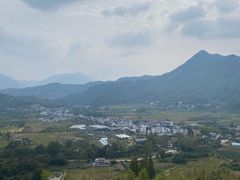 -黄牛肉馆·皖南土菜