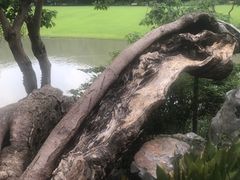 -上海方塔园