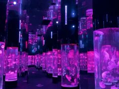 -成都浩海立方海洋公园