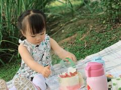 -白鹭湾湿地公园