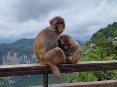 -重庆云阳龙缸景区