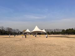 -石家庄市植物园