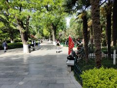 -莲湖公园