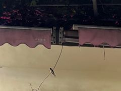 -伊隆斋(什刹海店)