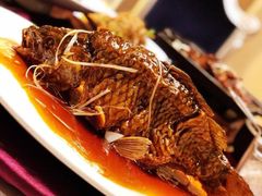 -津菜典藏河西店(水上店)