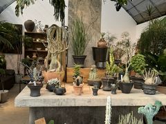 -自由生长植物工作室(深港花卉中心店)