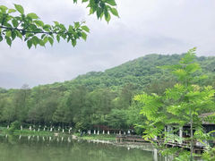 -八卦田遗址公园
