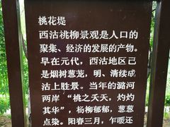 -桃花堤公园