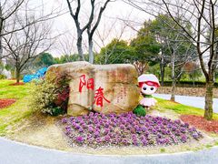 -顾村公园
