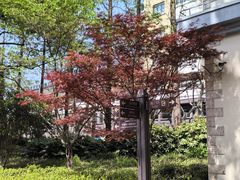 -徐家汇源景区-衡山公园