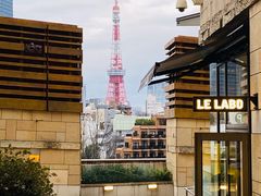 -六本木新城展望台(东京城市景观)
