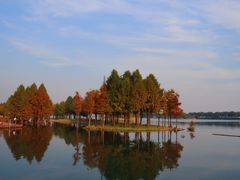 -贡湖湾湿地公园