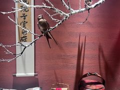 -单家老院·院子里的青岛菜(沙子口店)