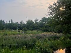 -桂湖森林公园