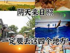 -渡海小渔村.老辈日照菜