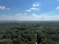 -灵谷景区