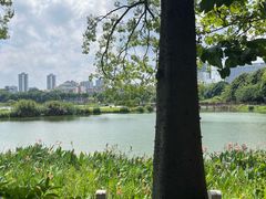 -南宁南湖公园