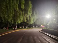 -长安先导国际创新人才交流中心