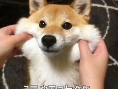 -温粥人(春晖路店)