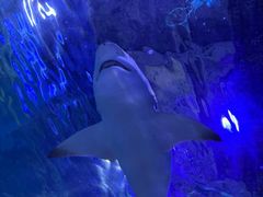 -常州海昌海洋探索馆