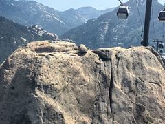 -崂山巨峰游览区