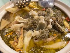 -杨记山珍鸡煲菌汤锅