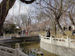 -桃花堤公园