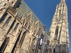 -斯蒂芬主教座堂(Stephansdom)
