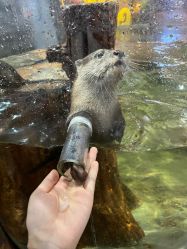 -Zoolung Zoolung动物主题公园(海信广场店)