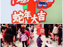 -中国宋庆龄青少年科技文化交流中心