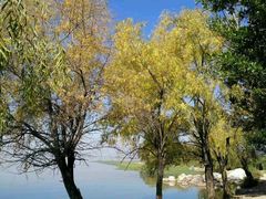 -老字号黄妹火盆烧烤