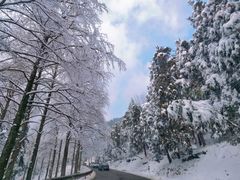 -四明山国家森林公园
