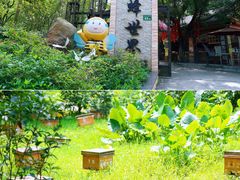-广州市白云山风景名胜区