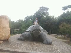 android_upload_pic-九华山公园