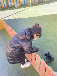 -萌宠亲子动物乐园(槐房万达店)