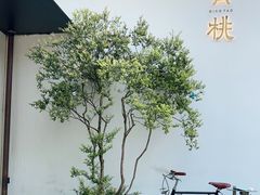 -青桃餐厅