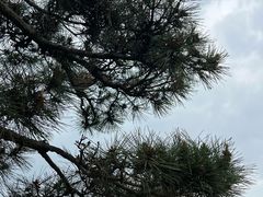 -朵云书院·广富林店