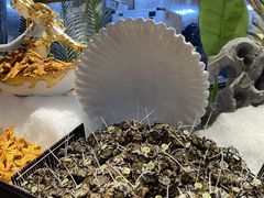 -清水湾足道馆