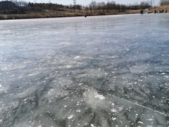 -马家湾湿地公园