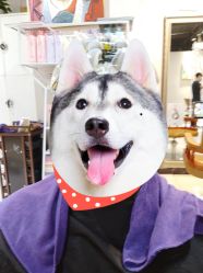 -虫二·专注健康烫染沙龙