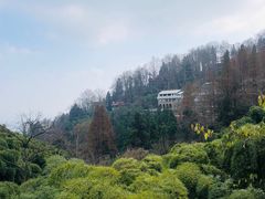 -莫干山风景区