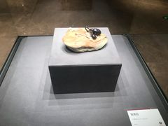 -西安大唐西市博物馆