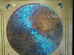 -上海昆虫博物馆