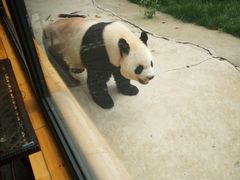 -西安秦岭野生动物园