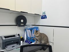 -萌兽医馆·绝育·24小时内科·宠物医院(德胜店)