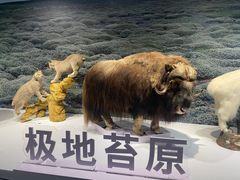 -中国湿地博物馆